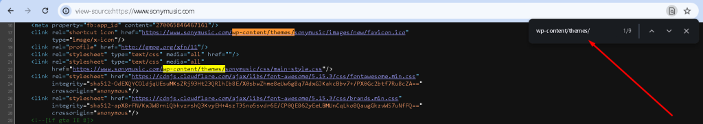 Check the Source Code screenshot wp content
